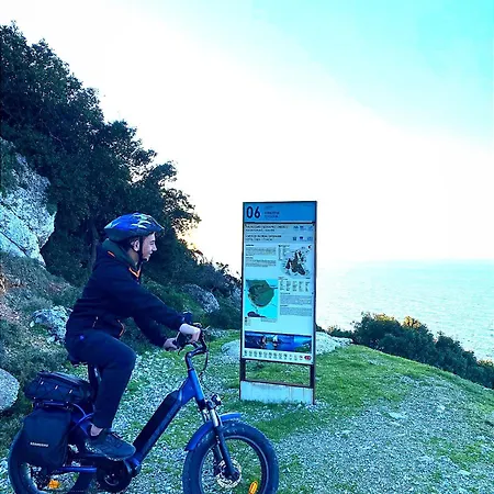 Sofi Ληξούρι